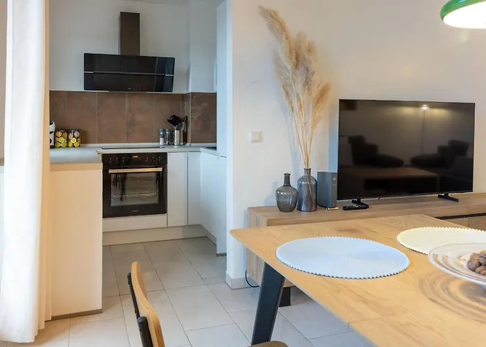 Allegra * 海因斯贝格